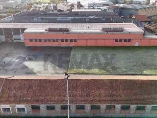 Vista