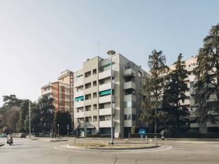 Zona