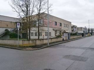 Zona