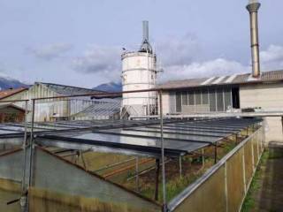 Zona