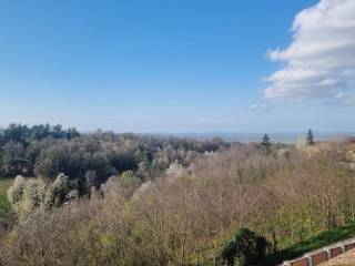 Vista