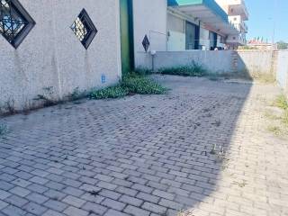 Zona