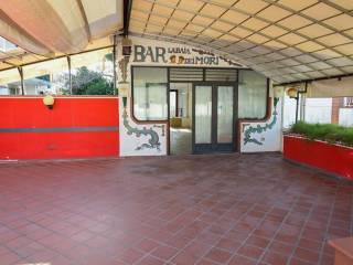Ingresso
