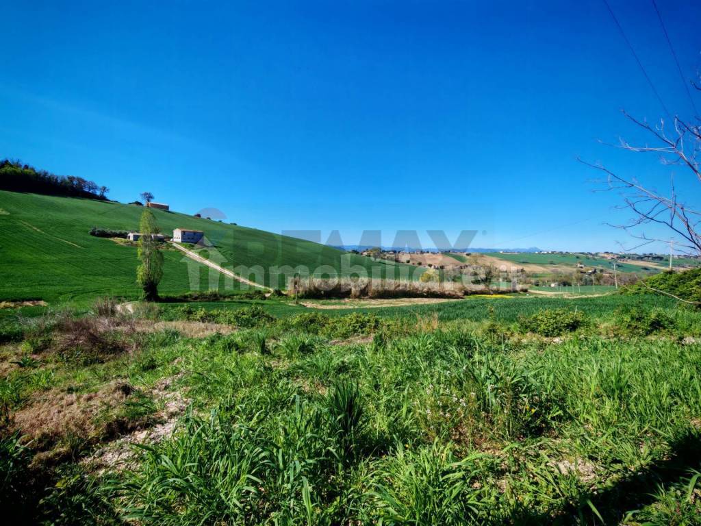 Terreno