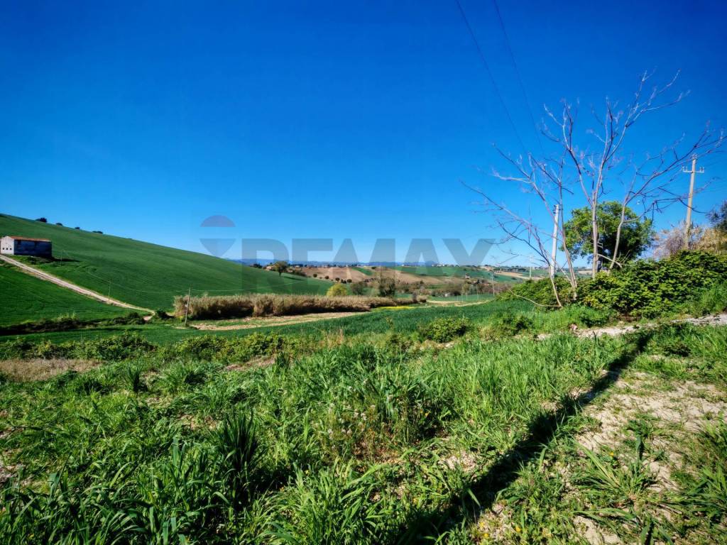 Terreno