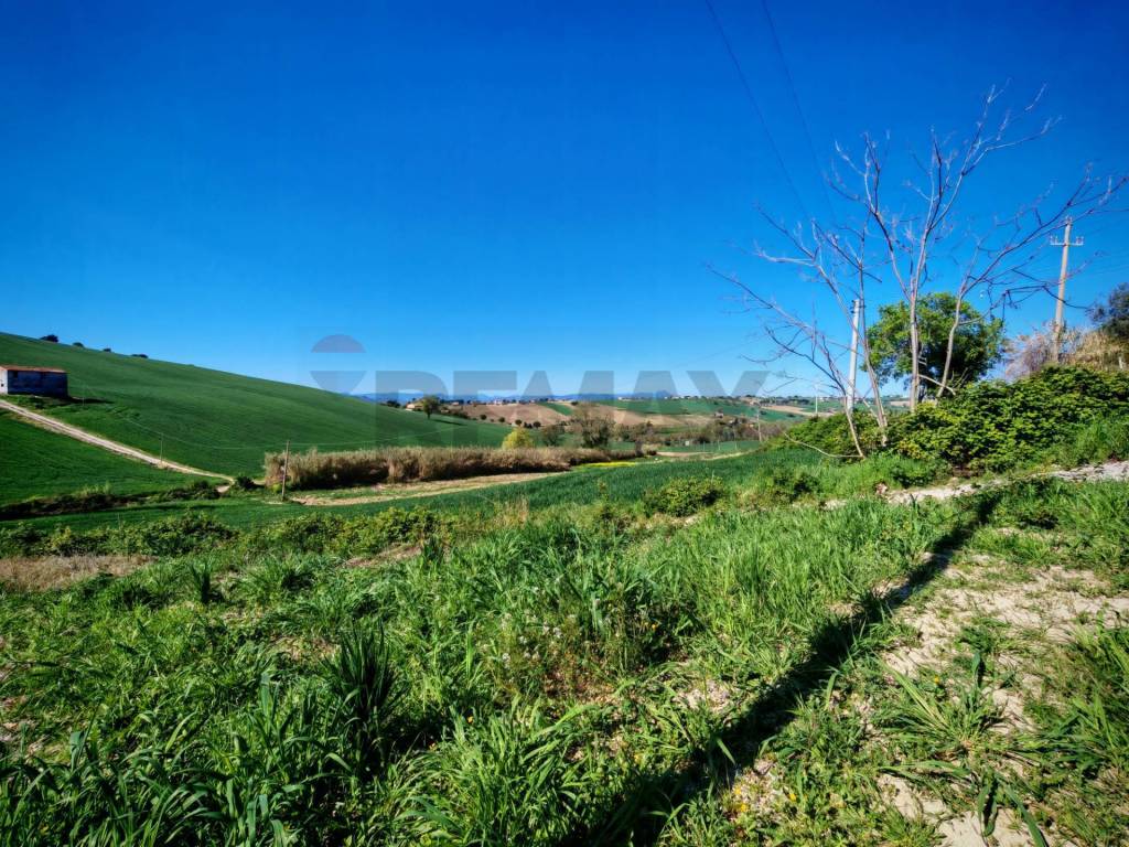 Terreno