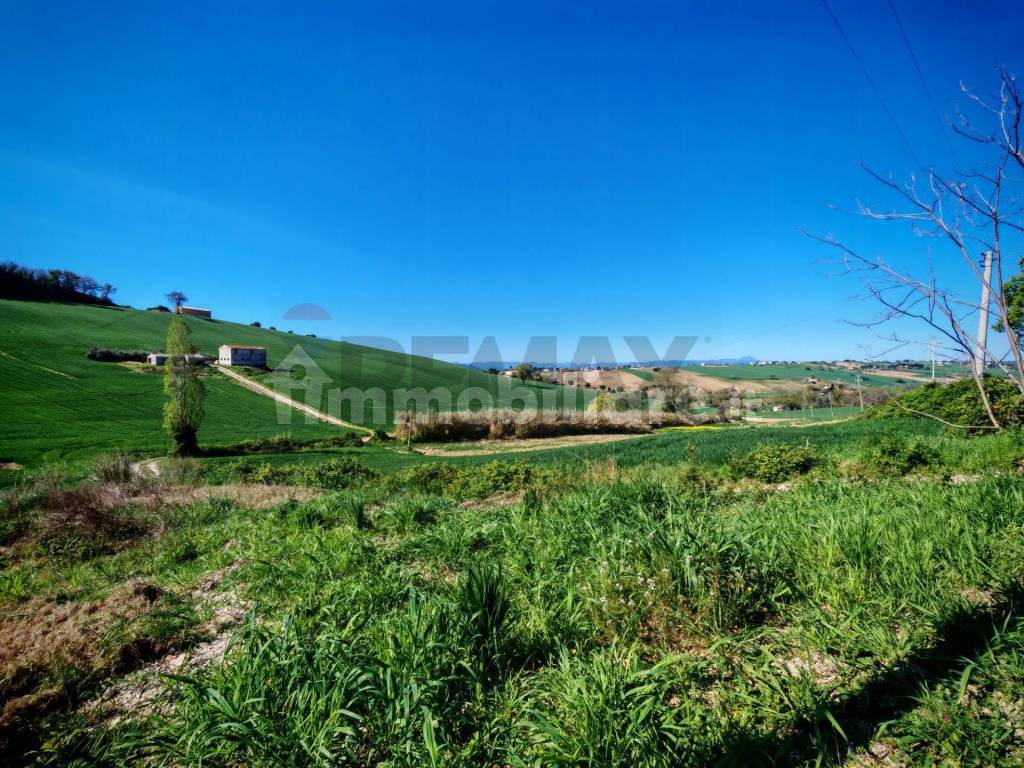 Terreno
