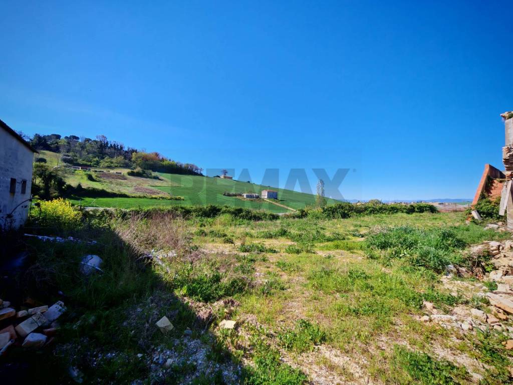 Terreno