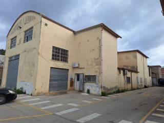 Zona