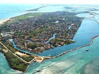 Zona