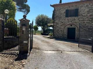 Ingresso