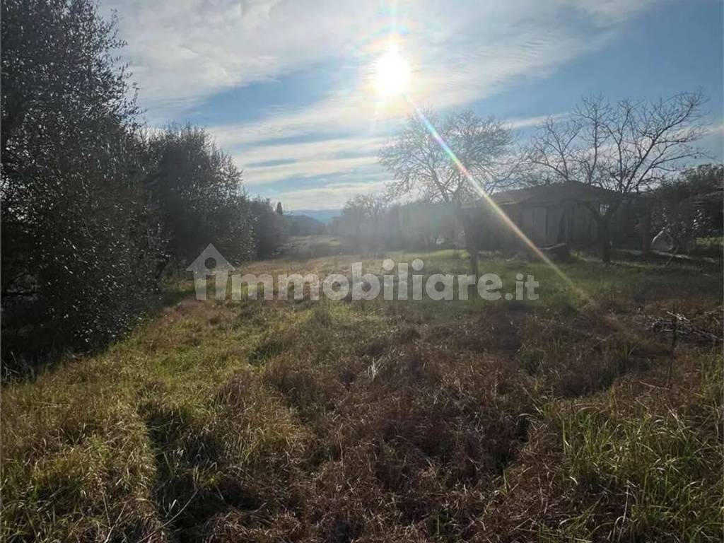 Terreno