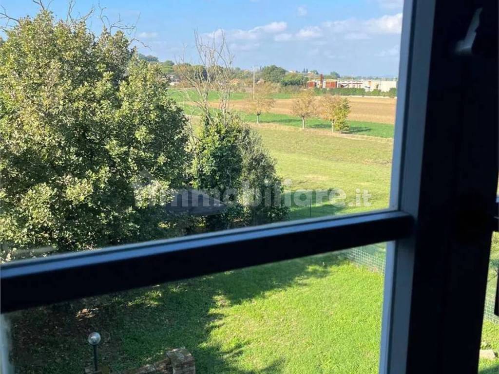 Vista
