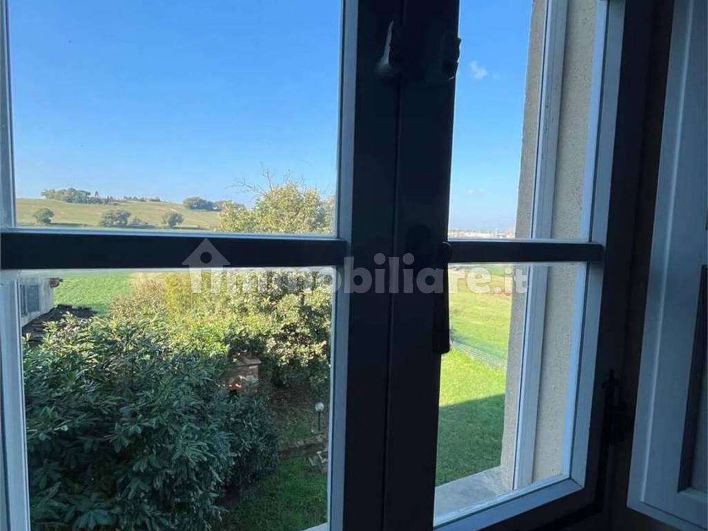 Vista
