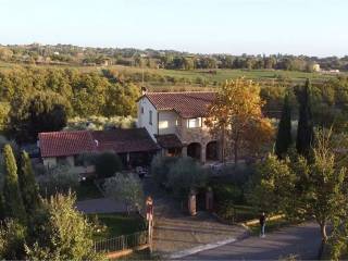 Vista