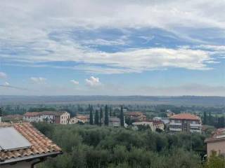 Vista
