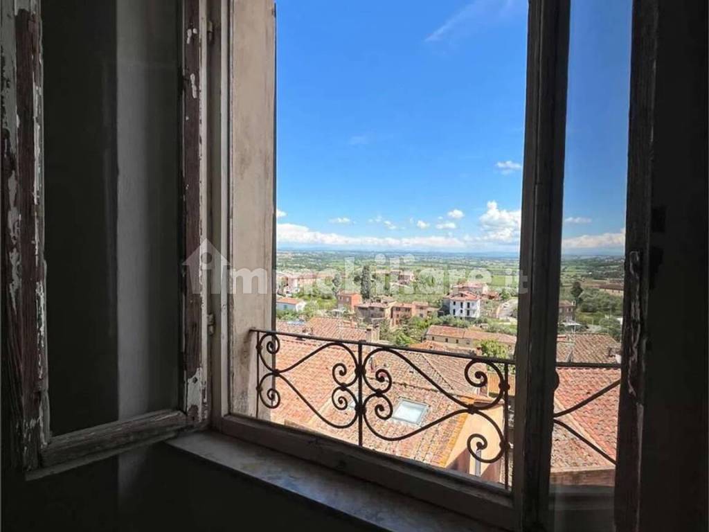 Vista