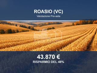 Altro