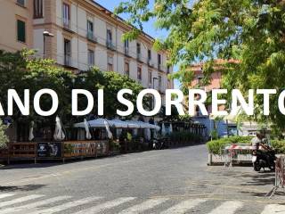 Zona