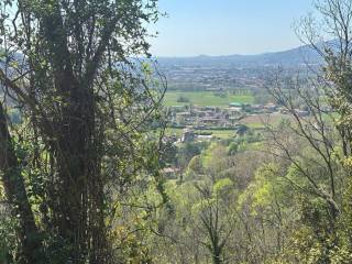 Vista