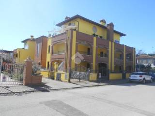 Zona