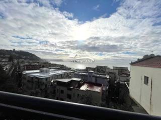 Zona