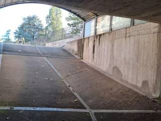 Zona