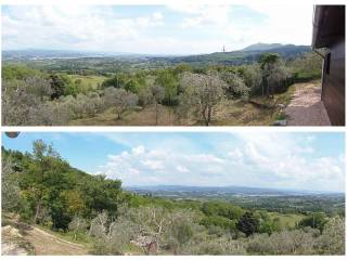Vista