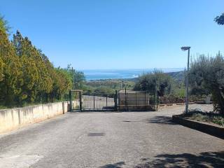 Zona