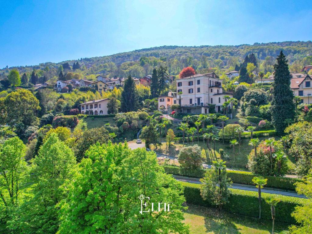 Vista