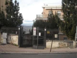 Zona