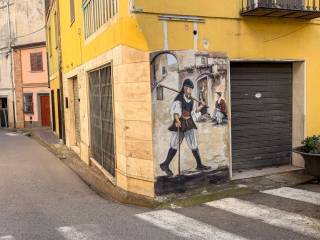 Zona