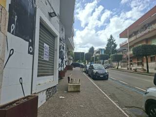 Zona