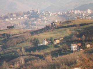 Vista