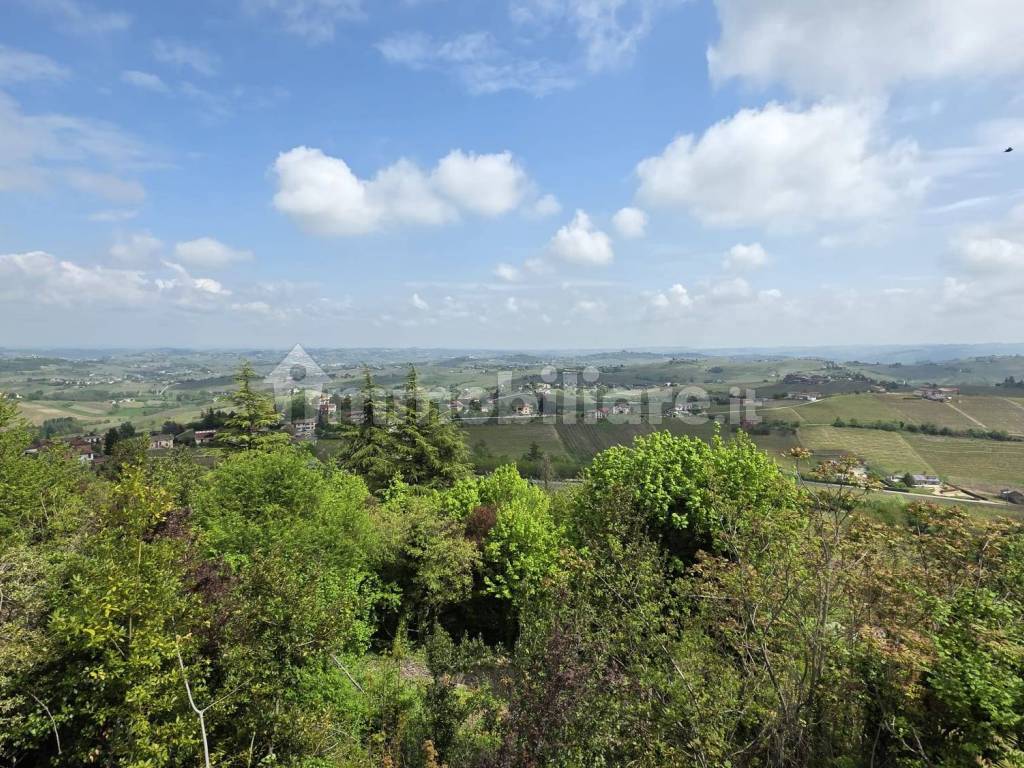 Vista