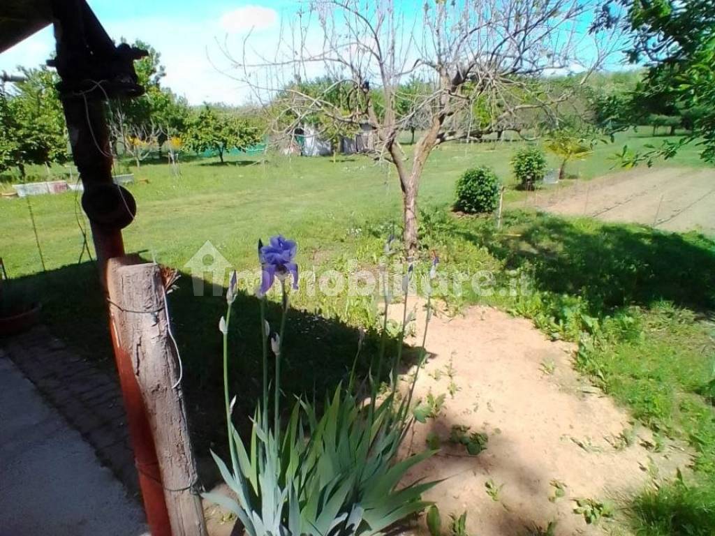 Giardino