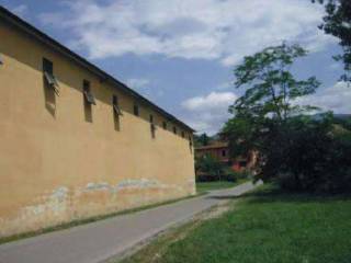 Zona