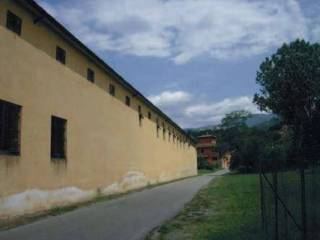 Zona