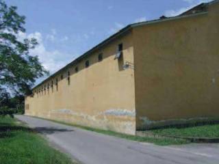 Zona