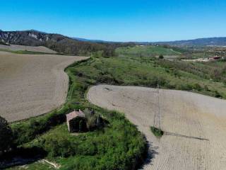 Vista