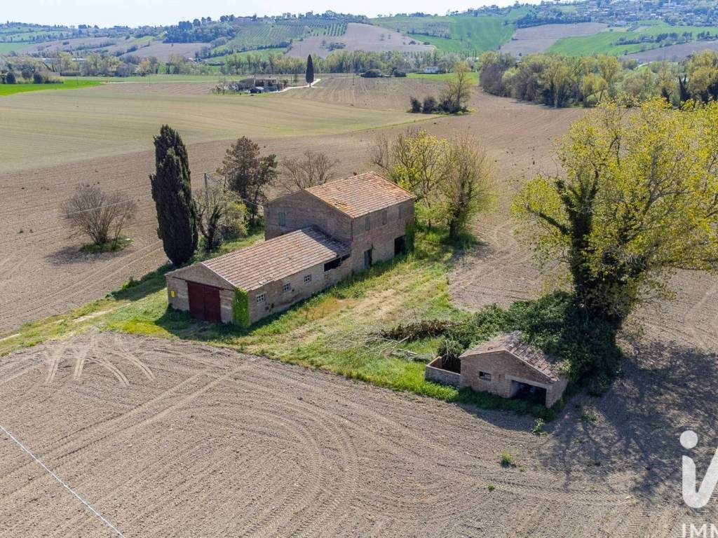 Vista