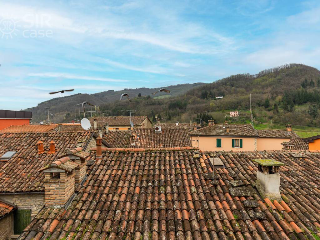 Vista