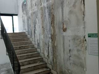 Scala