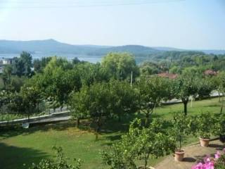 Vista