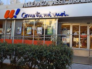 Zona
