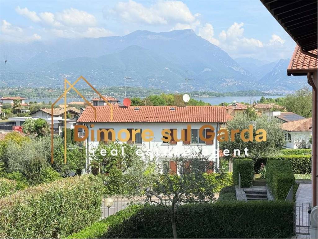 Vista