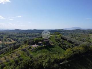 Vista