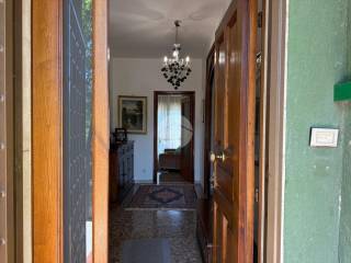 Ingresso