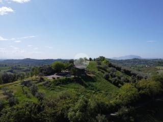 Vista