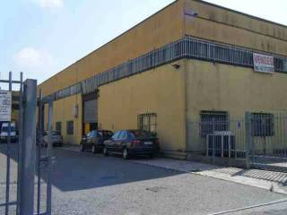 Zona